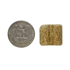 Dental health exercise with rodent blocks being chewed by a pet