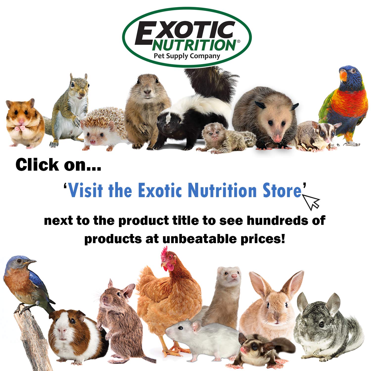 Squirrels and degus accepting Exotic Nutrition blocks in rehab setting