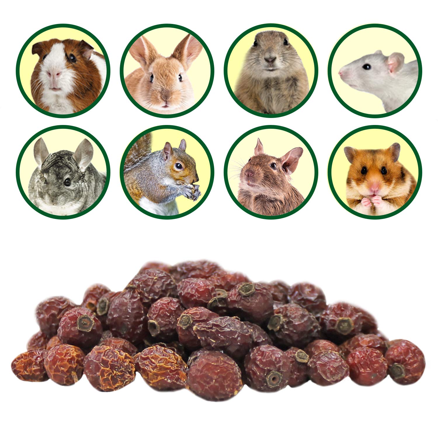 Exotic Nutrition rose hips small pets use as enrichment and bonding reward