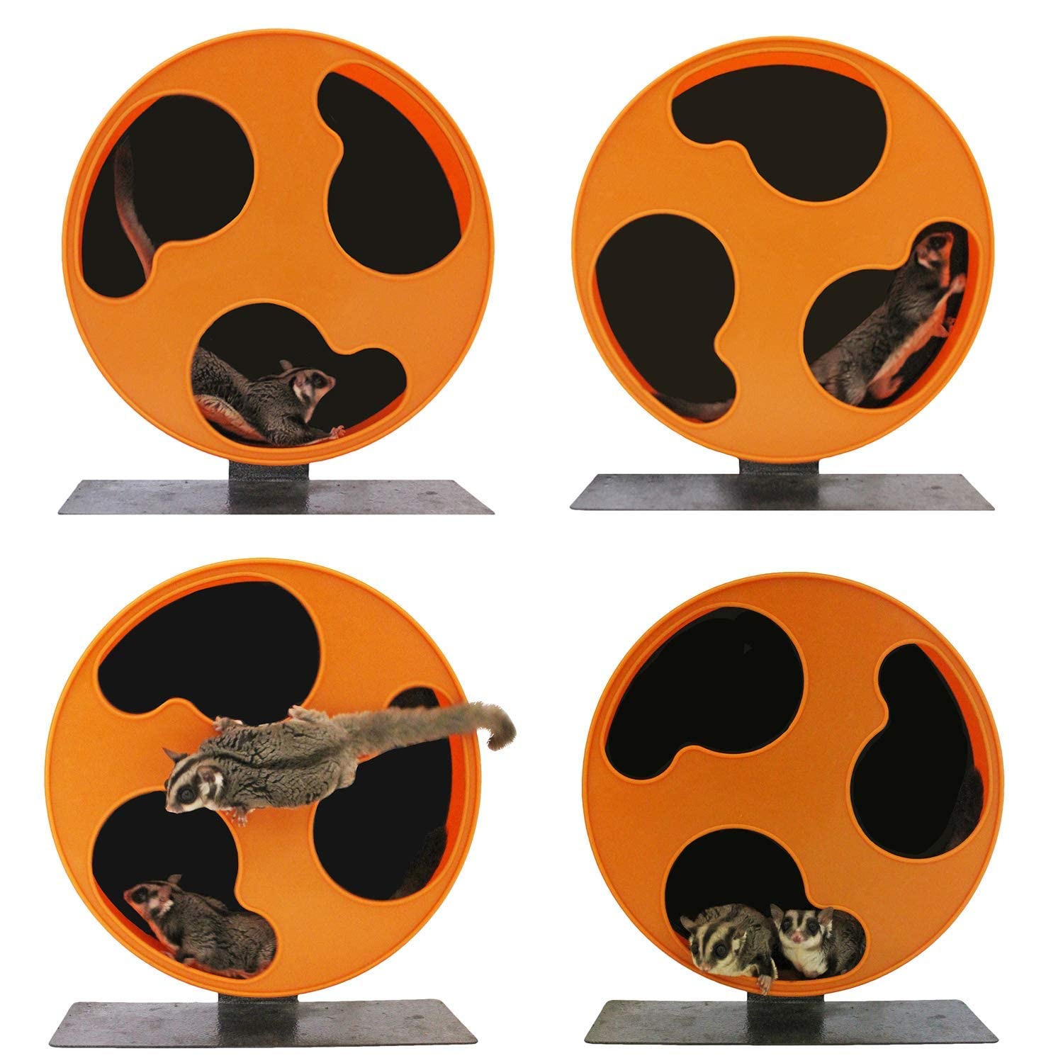 Exotic Nutrition Silent Runner 12-inch wheel safety design emphasizes axle-free entanglement reduction