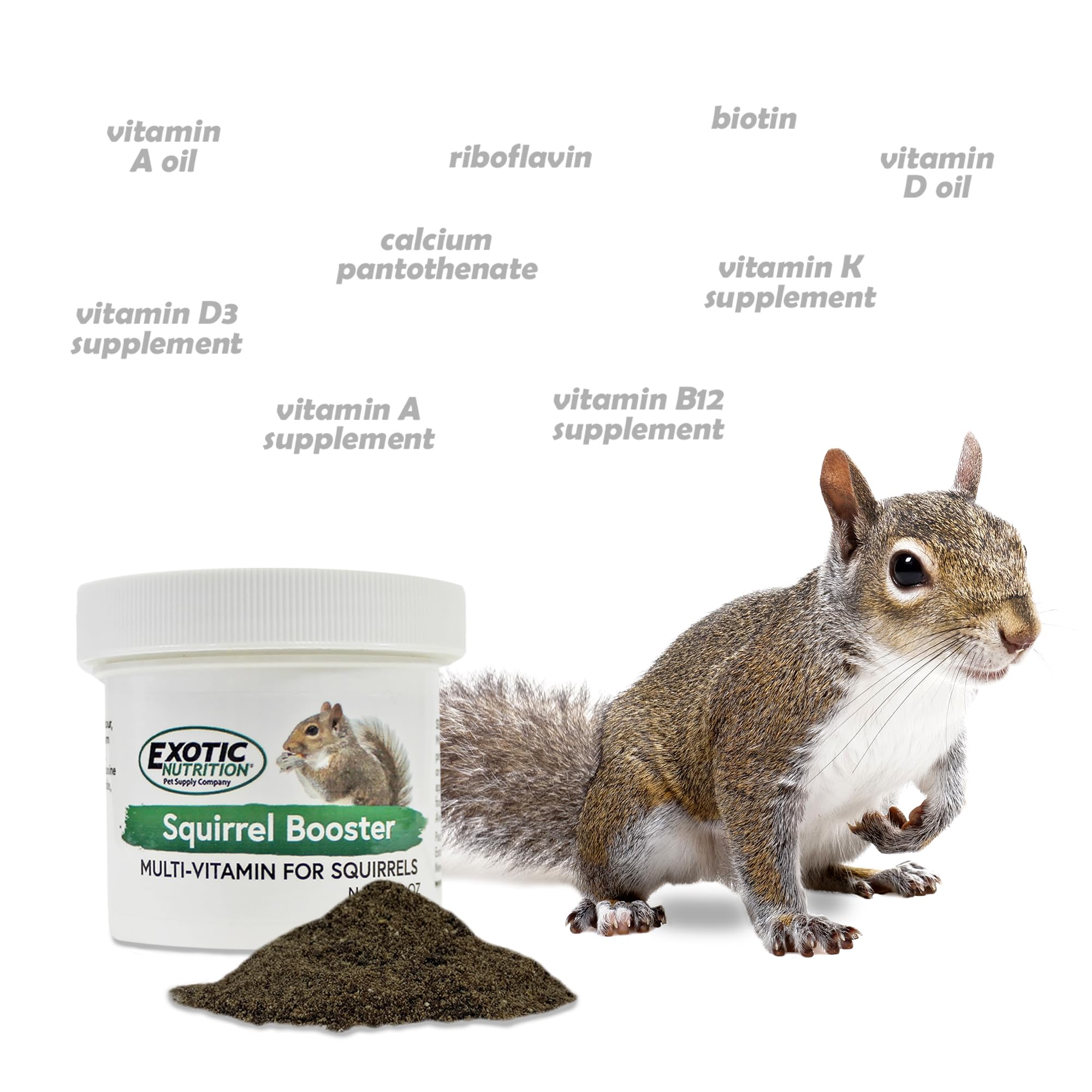 Exotic Nutrition Squirrel Booster probiotics graphic highlighting gut health support