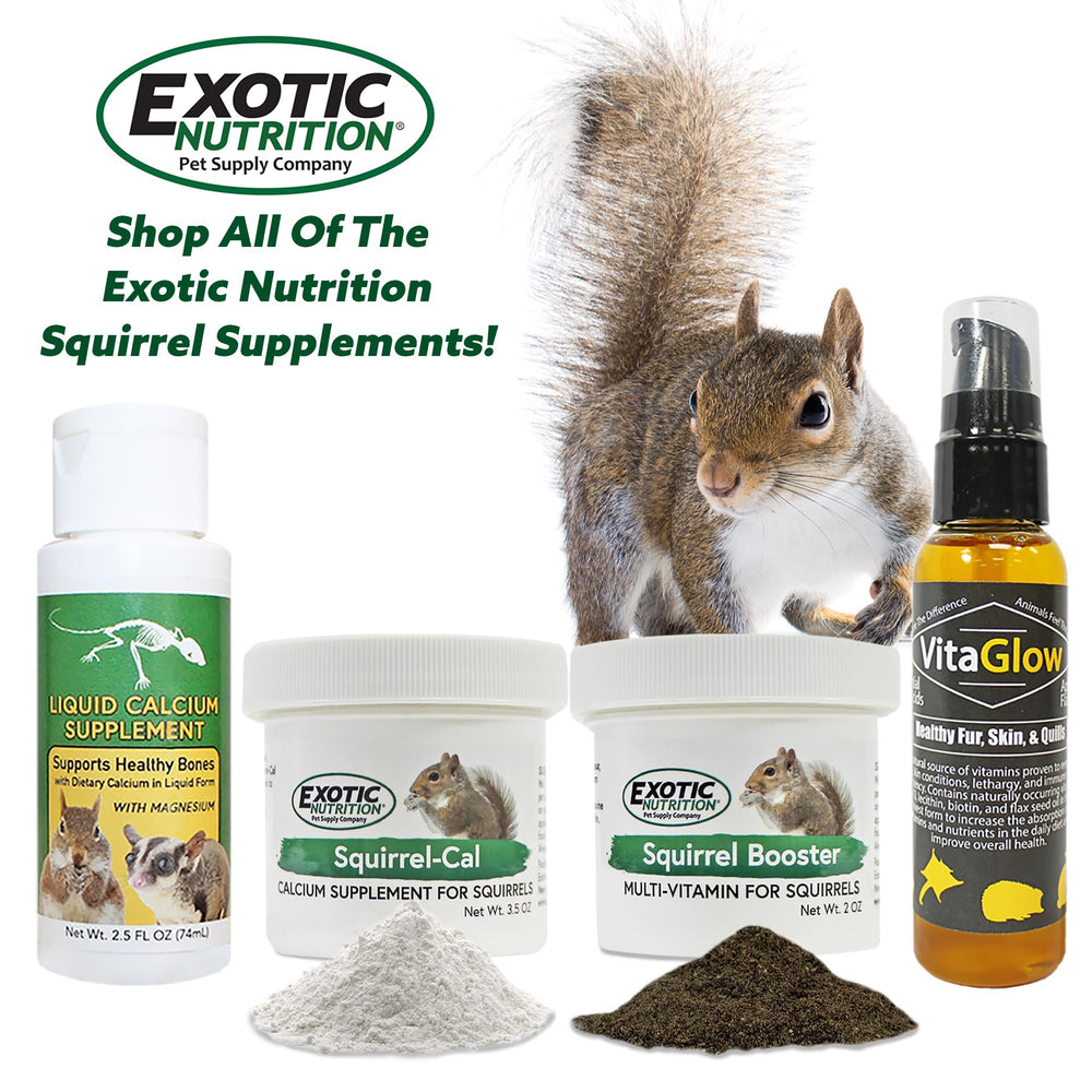 Exotic Nutrition Squirrel Booster yeast and soy components for digestion