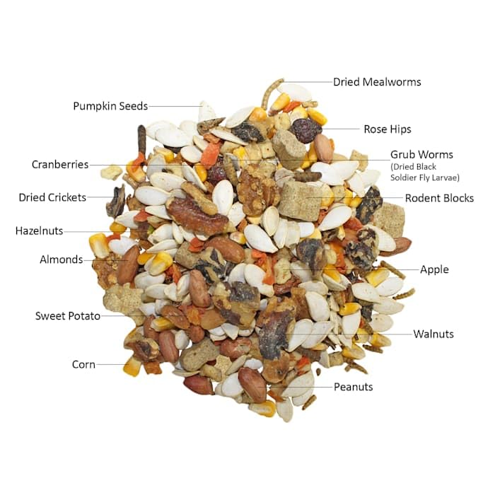 Exotic Nutrition Squirrel Complete diet variety suitable for multiple squirrel species.