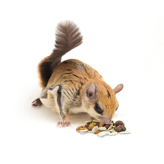 Exotic Nutrition Squirrel Complete in cage setup illustrating practical daily feeding.