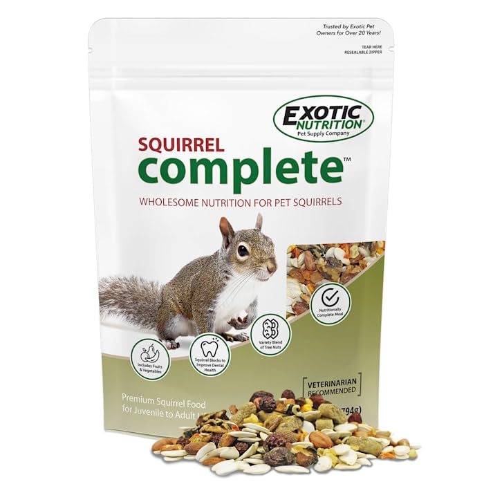 Exotic Nutrition Squirrel Complete serving scene demonstrates daily feeding moments for curious rodents.