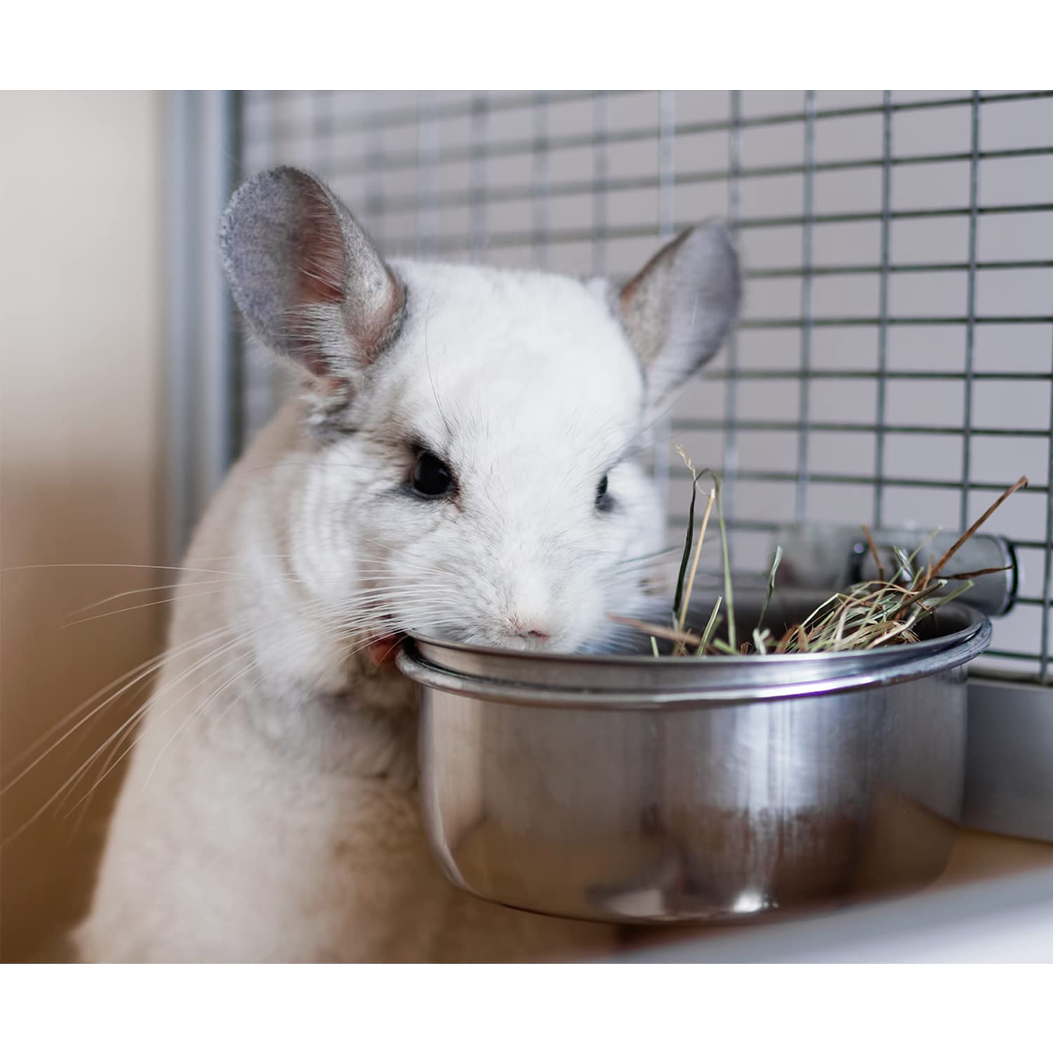 Exotic Nutrition stainless steel cleans easily, stays rust-free.