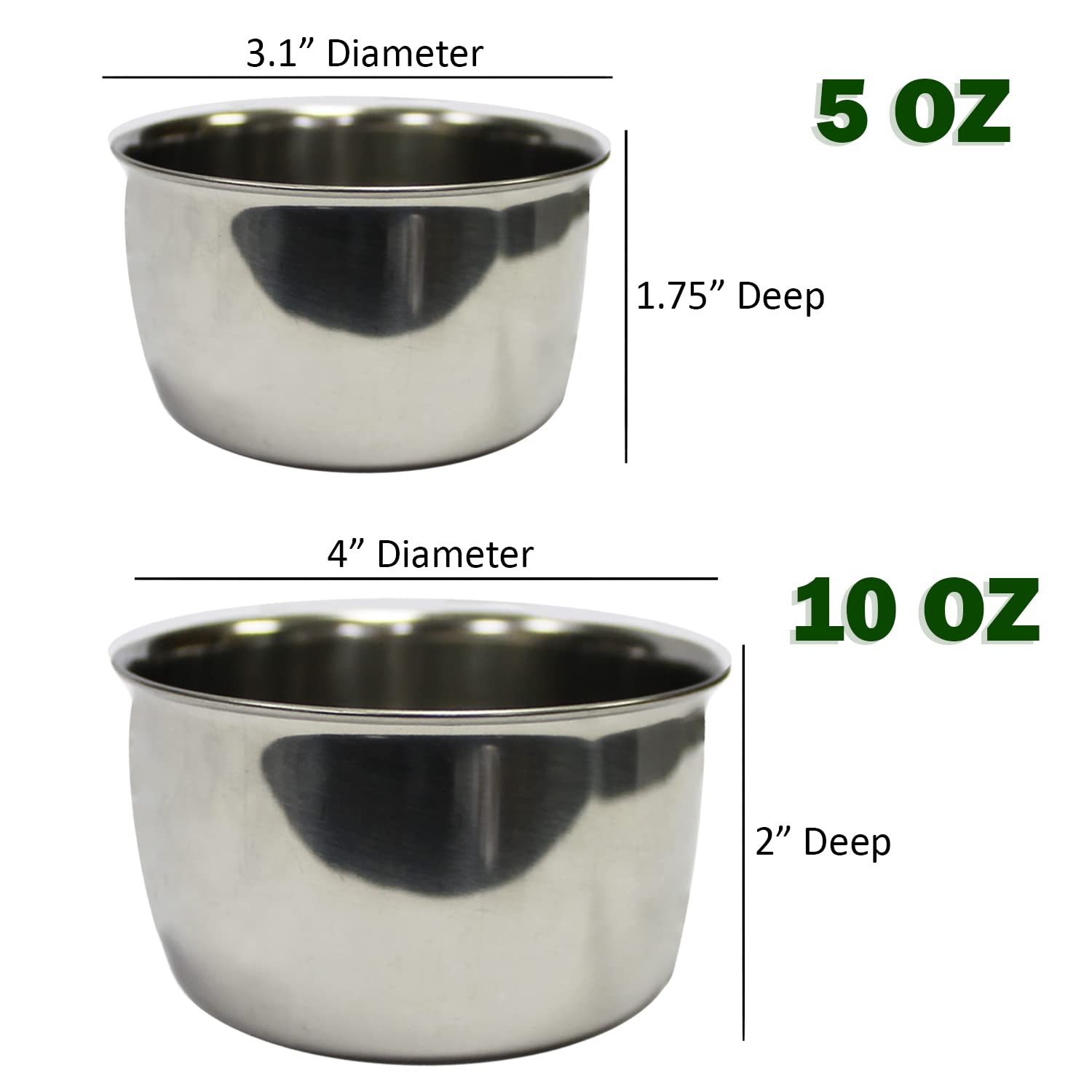 Exotic Nutrition holder with perch design supports natural feeding posture.