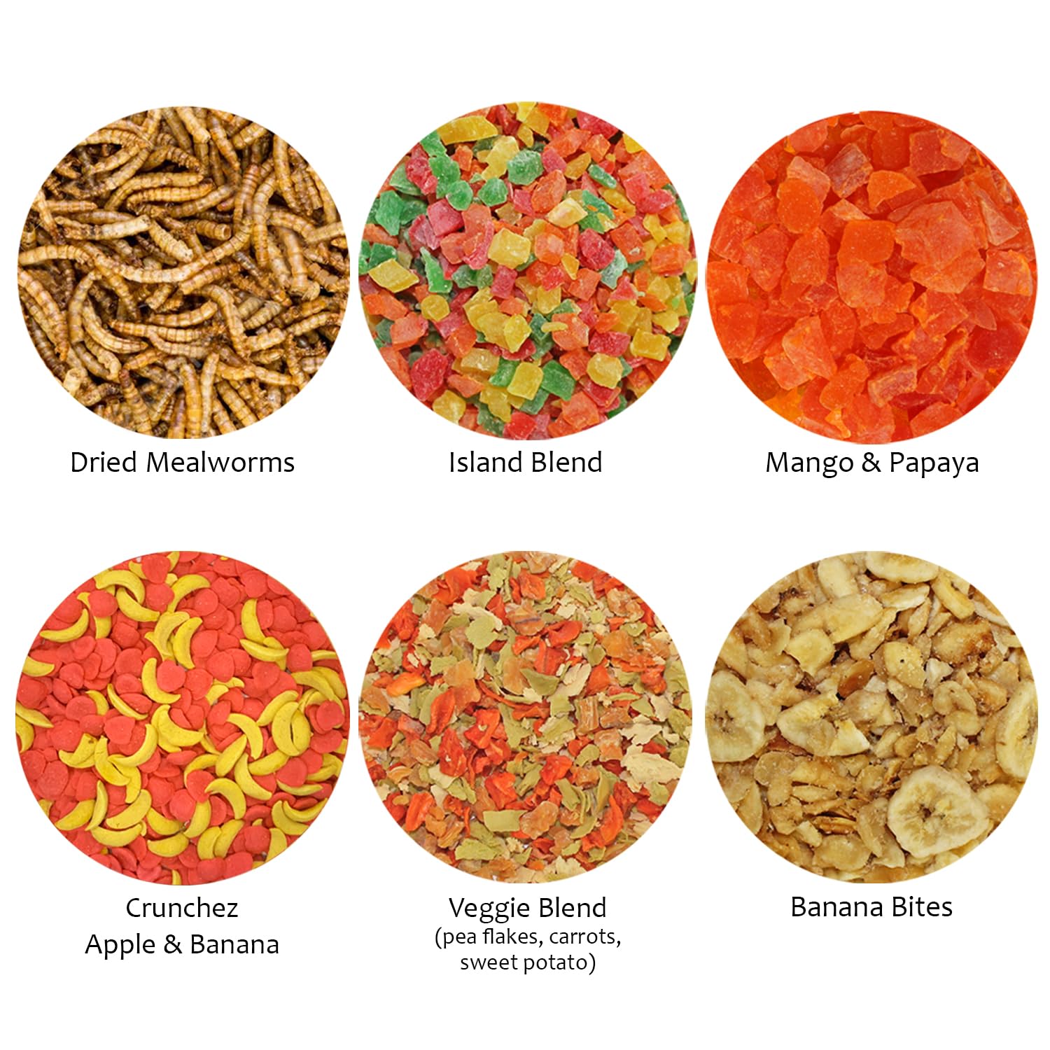 Exotic Nutrition Treat Assortment 6 Pack close-up of mealworms and fruit treats ideal for omnivores