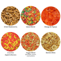 Exotic Nutrition Treat Assortment 6 Pack close-up of mealworms and fruit treats ideal for omnivores
