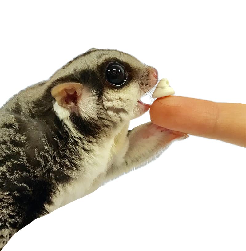 Yogu Drops Blueberry sprinkled on pet food for variety