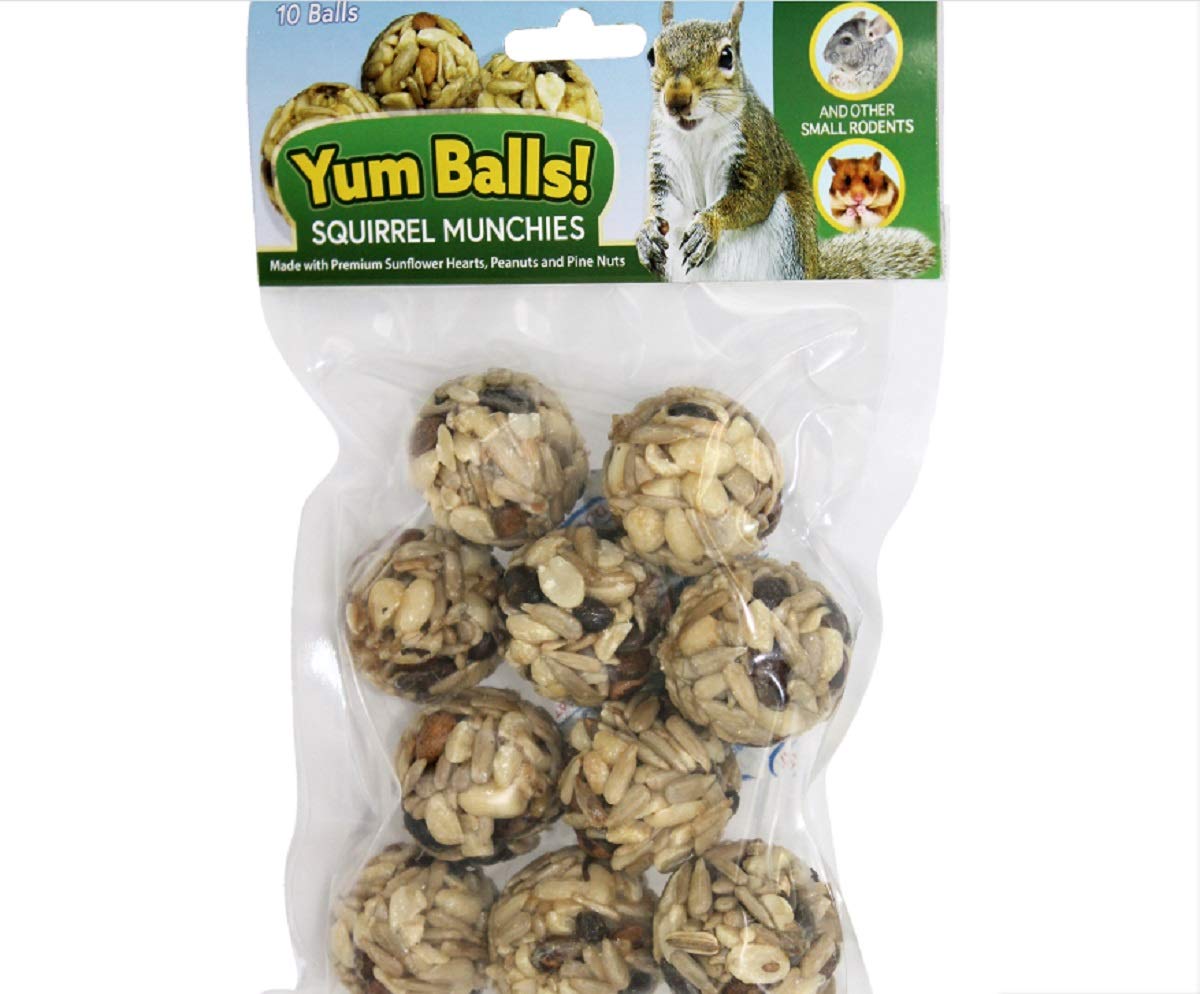 Exotic Nutrition Yum Balls Squirrel Munchies package for small pets—nutritious snack and foraging enrichment