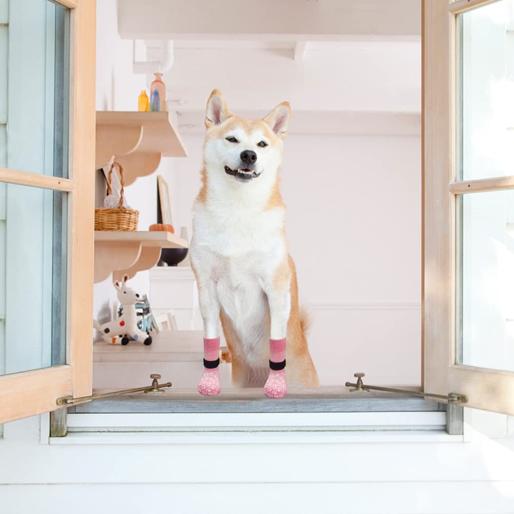 EXPAWLORER breathable-knit fabric keeps paws comfortable during outdoor walks.