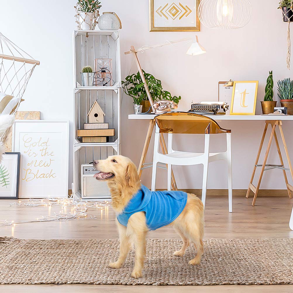 EXPAWLORER blue XXL on dog showing roomy warmth and coverage