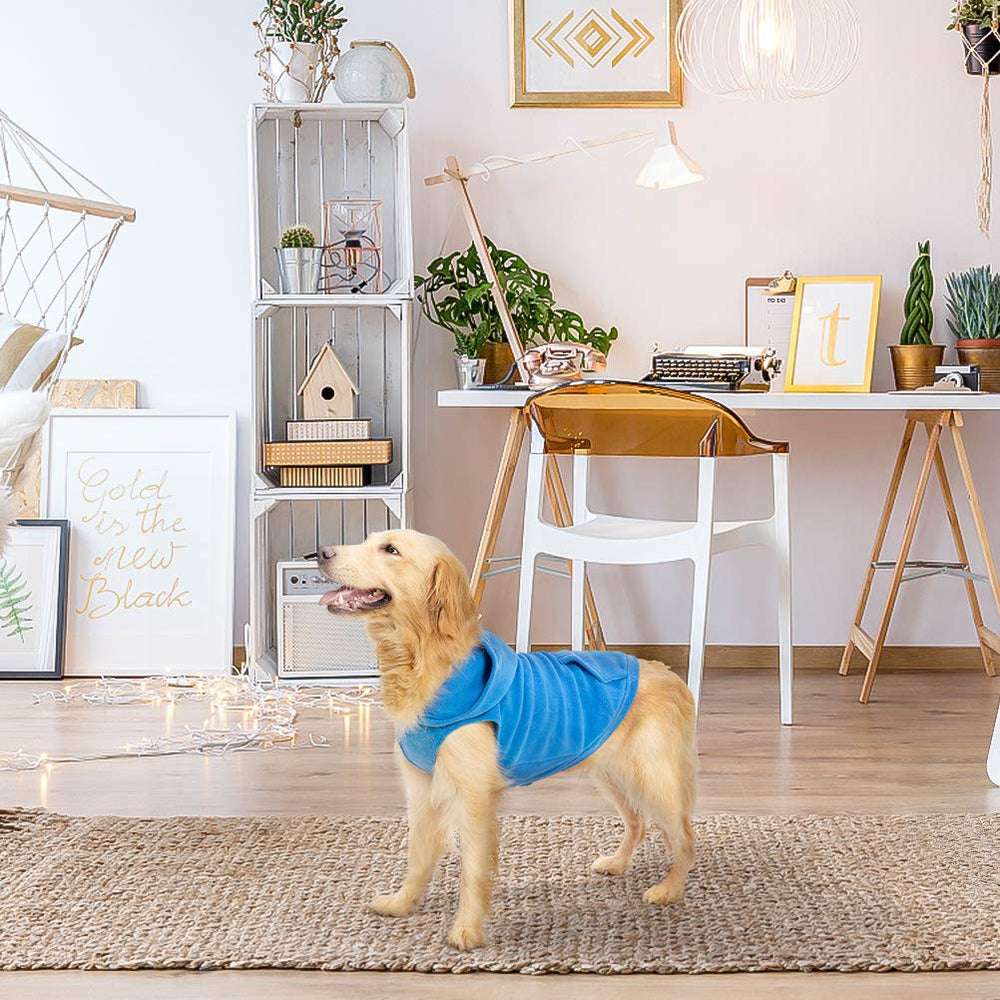 EXPAWLORER blue XXL on dog showing roomy warmth and coverage