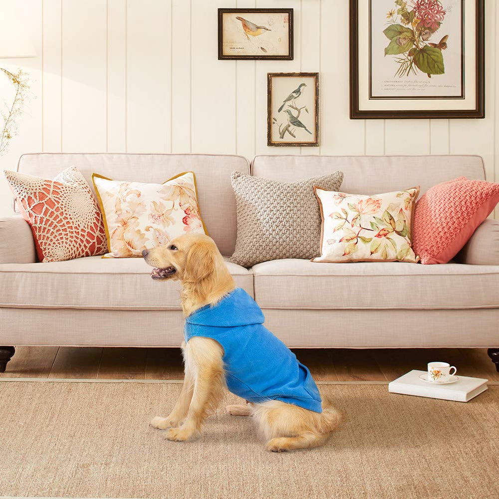 EXPAWLORER sizing guide helps find the right fit