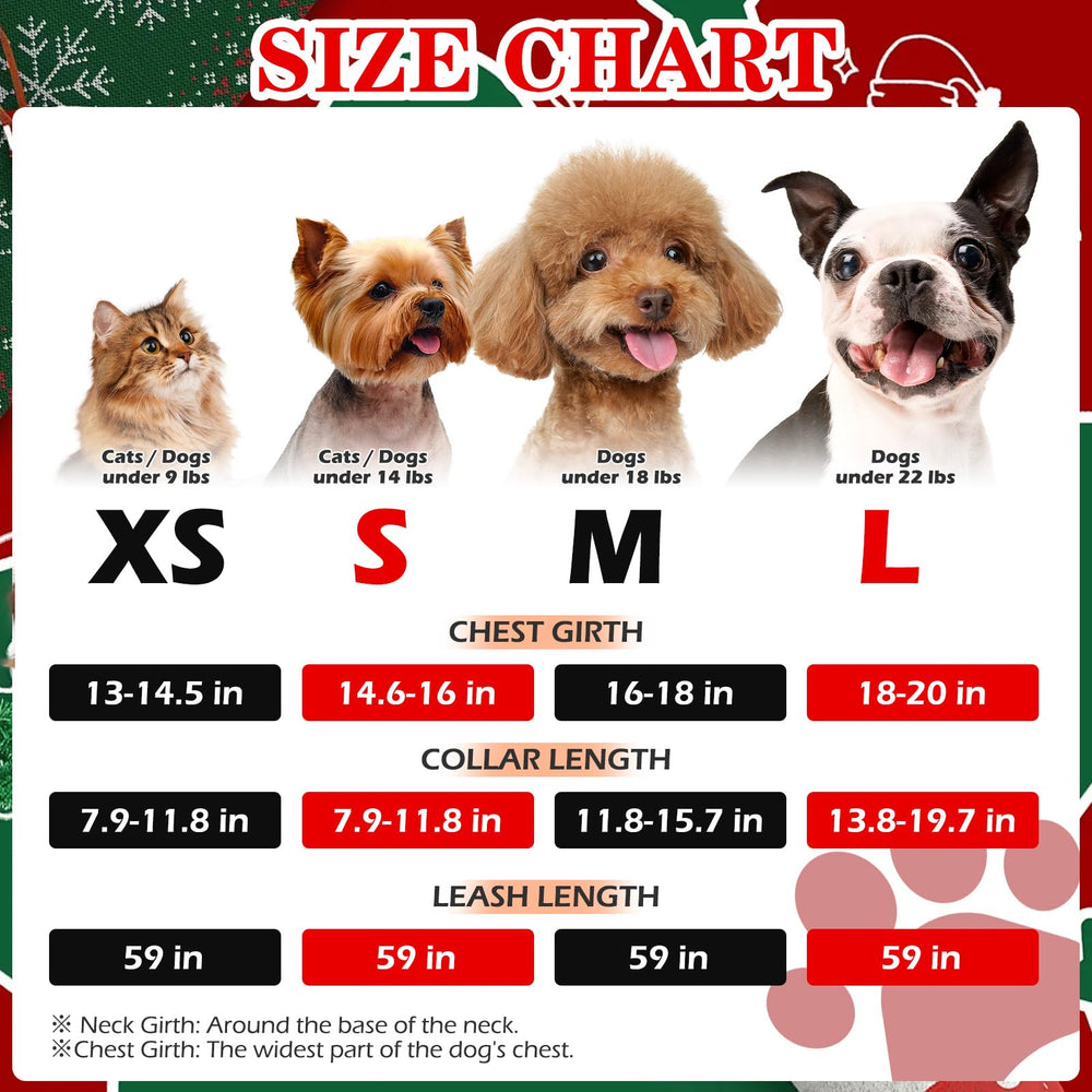 EXPAWLORER dog leash set extends to 59 inches for versatile outdoor control