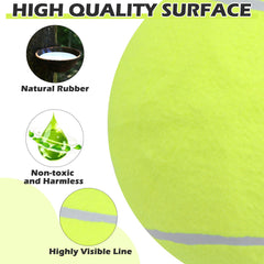 EXPAWLORER fluorescent yellow-blue color boosts visibility during outdoor play.