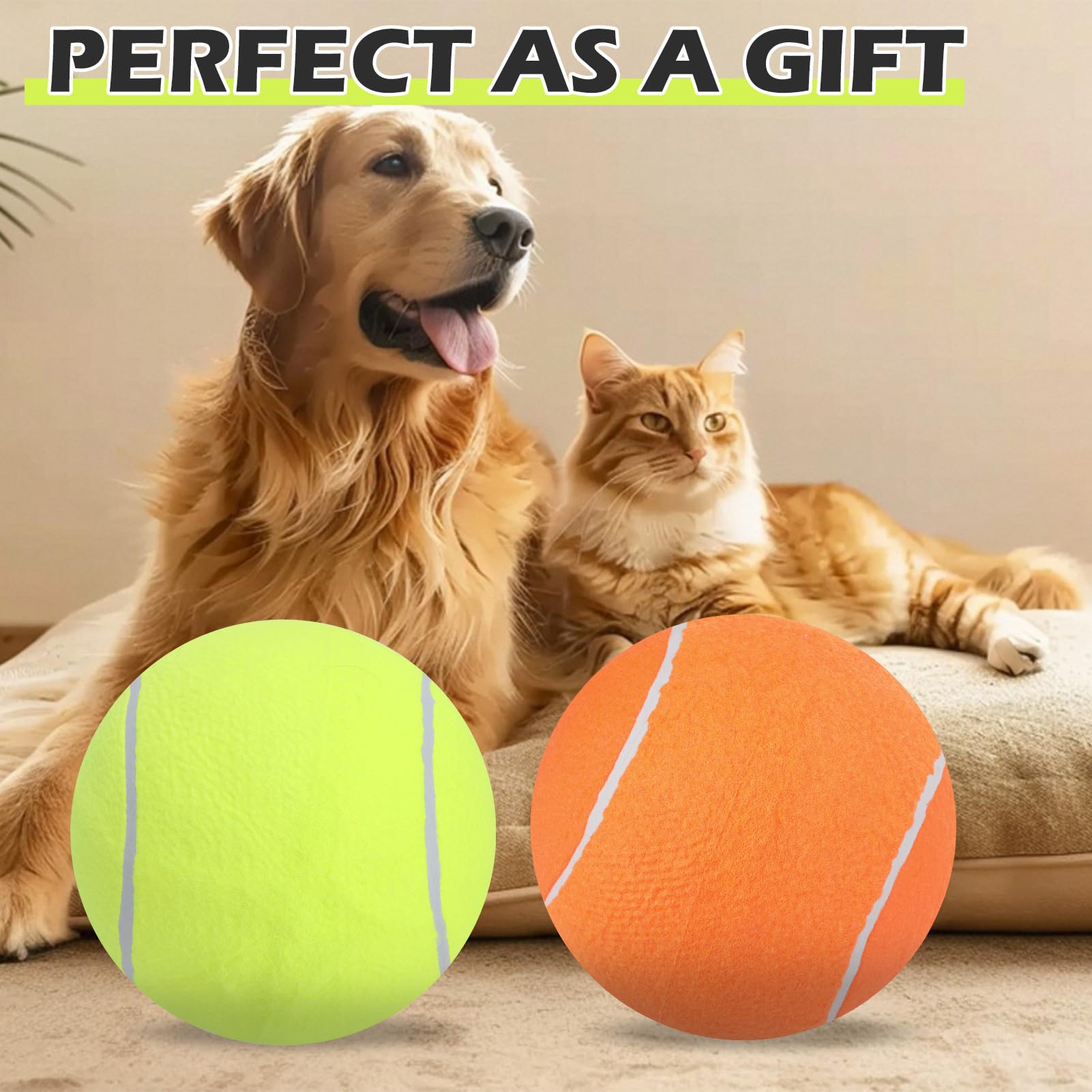 EXPAWLORER travel-ready toy for camping and outdoor adventures.