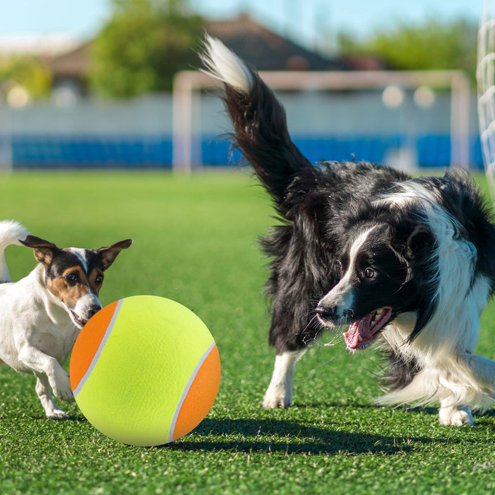 EXPAWLORER Giant Tennis Ball ideal for indoor outdoor training and travel