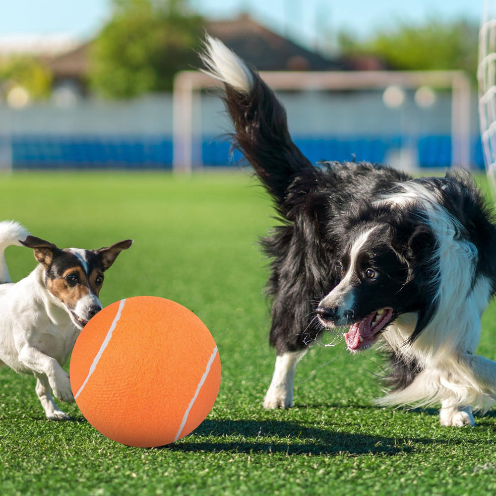 EXPAWLORER fluorescent color boosts attention and spotting during play.