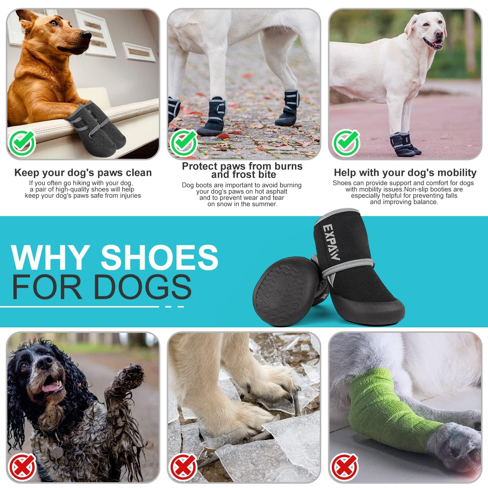 EXPAWLORER measuring paws and size chart helps find the right fit