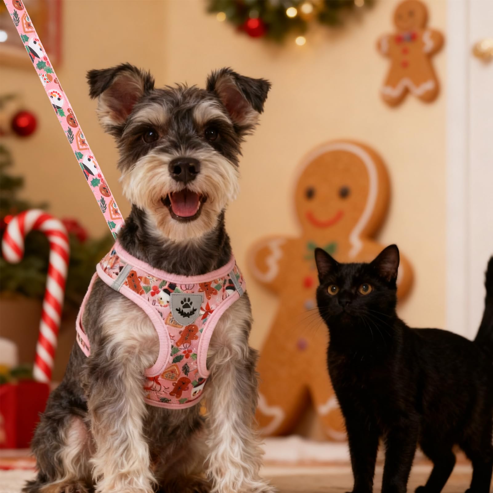 EXPAWLORER no-pull, escape-proof design supports calm outdoor sessions