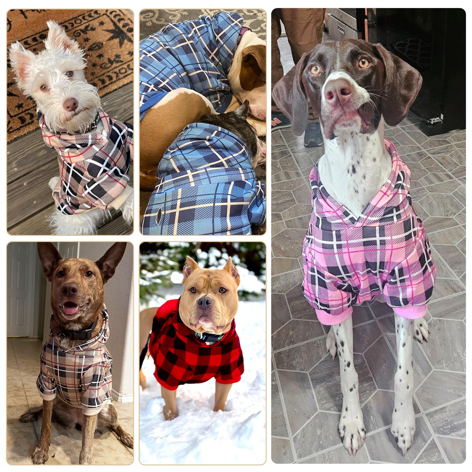 EXPAWLORER plaid dog hoodie color variants offer seasonal style options