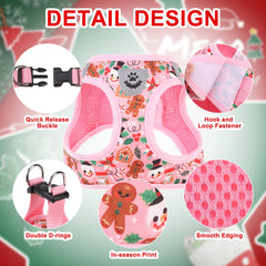 EXPAWLORER puppy collar adjustable 7.9 to 11.8 inches supports secure daily wear