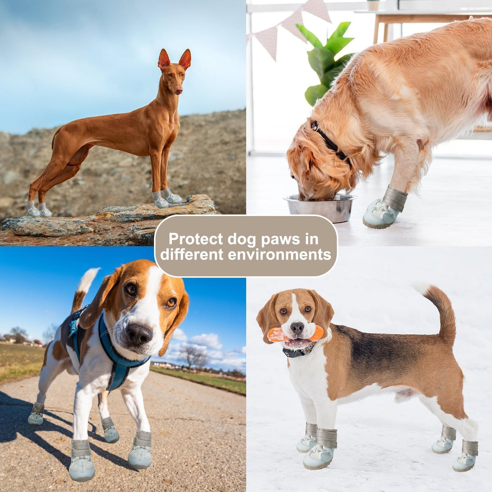 EXPAWLORER size chart paw width measurement reference