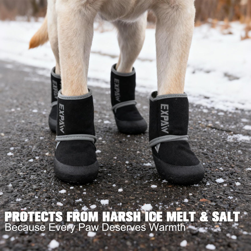 EXPAWLORER waterproof paw protector close-up shows polymer fabric keeping paws dry