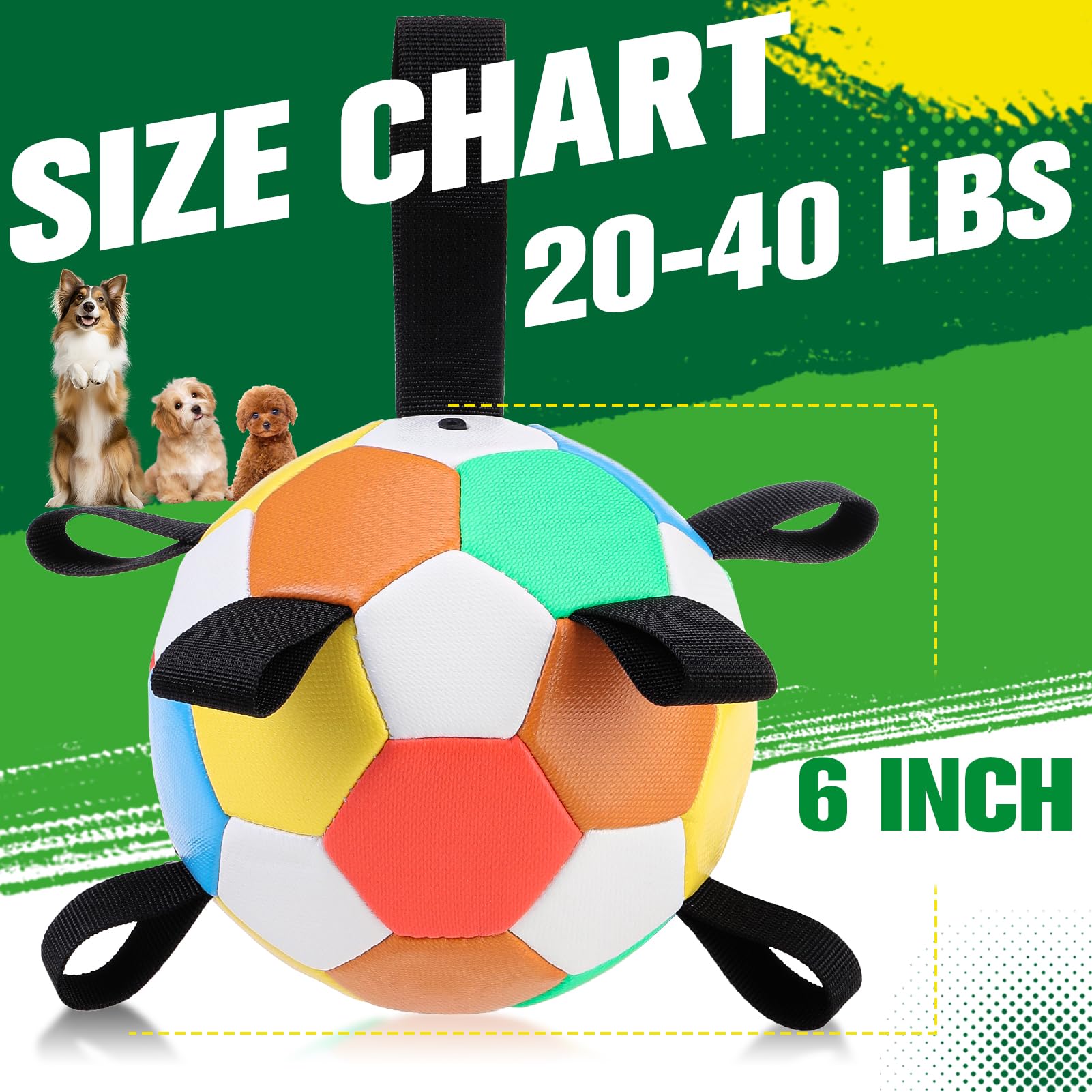 EXPAWLORER 6-inch inflatable dog ball ready for active play and water fun.