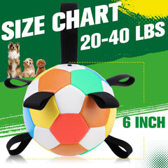 EXPAWLORER 6-inch inflatable dog ball ready for active play and water fun.