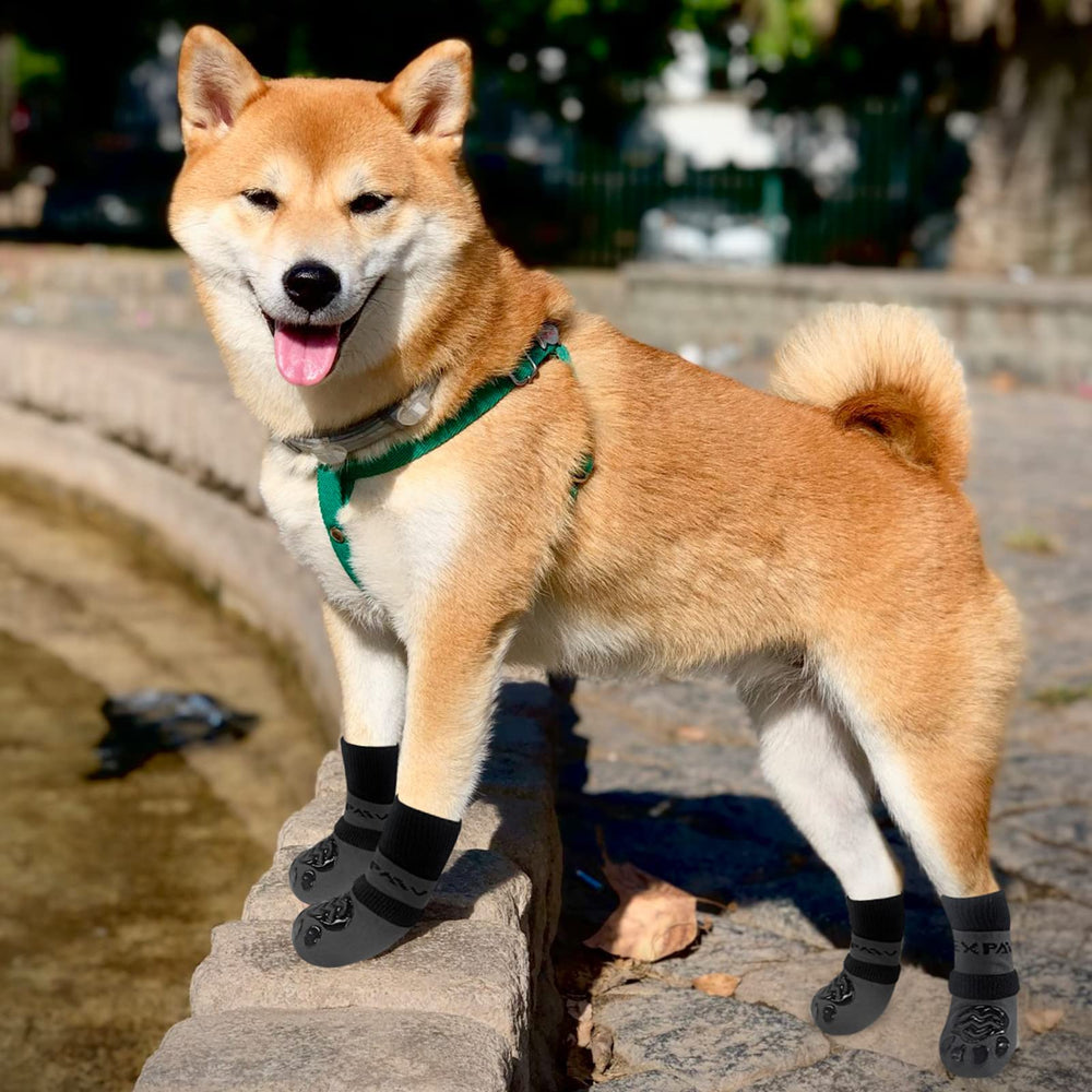 EXPAWLORER dog socks shown on hardwood floor for stability