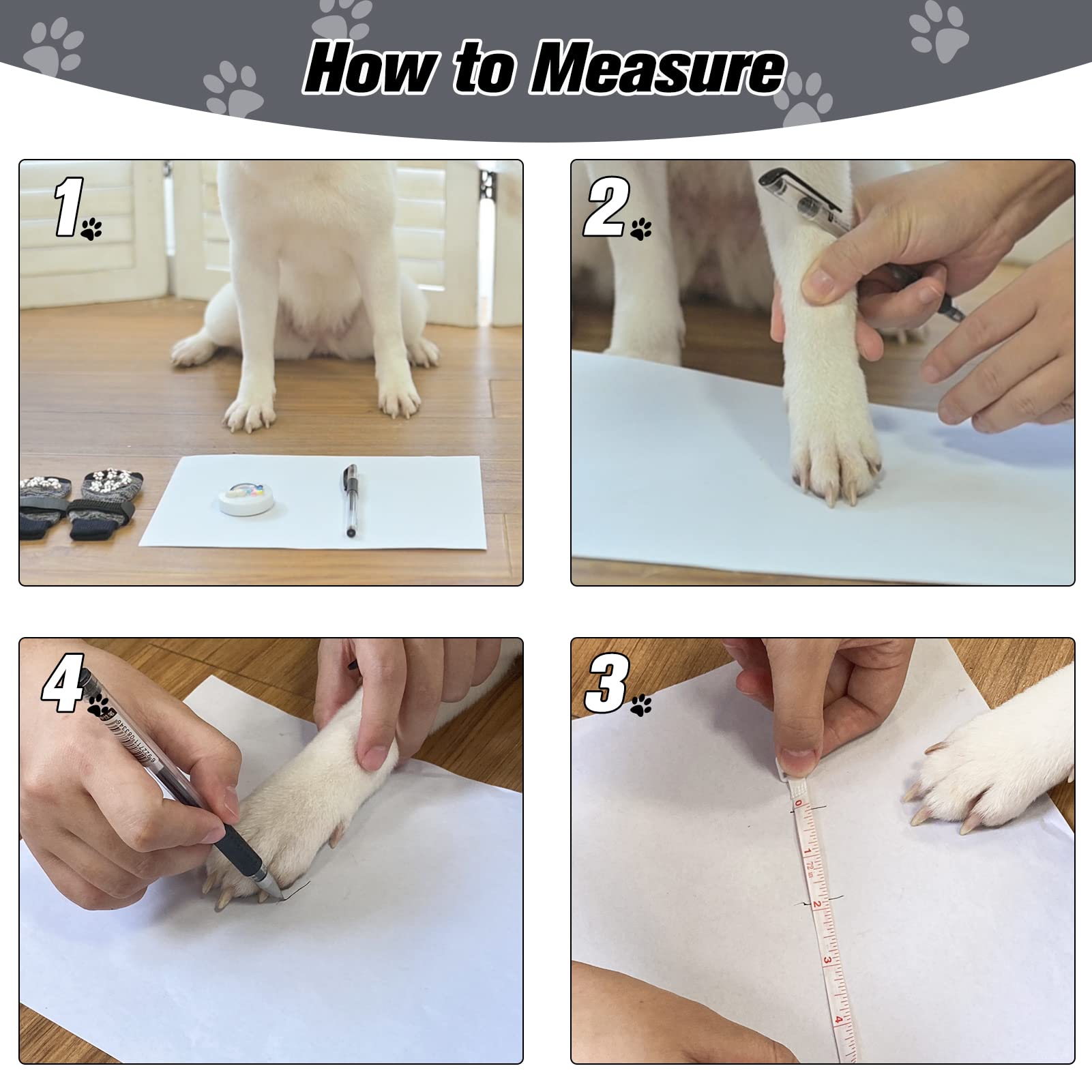 EXPAWLORER three-pair value with six detachable belts included