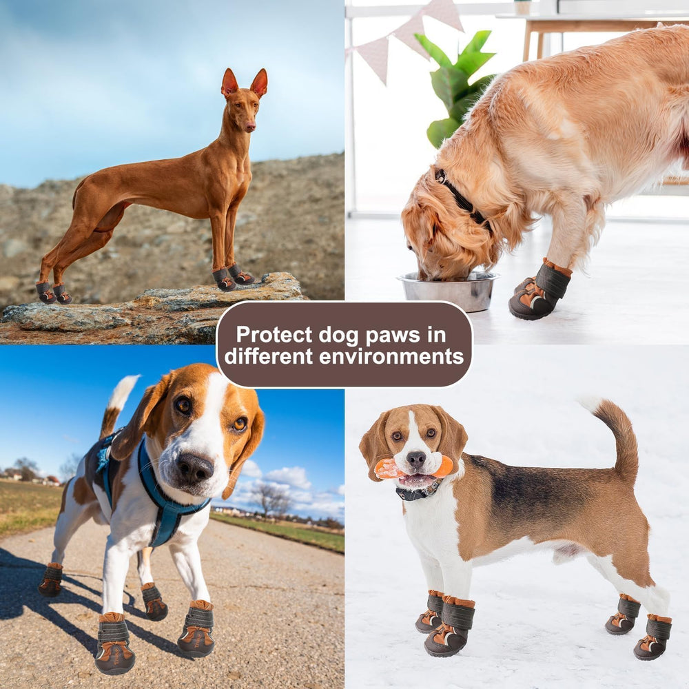 EXPAWLORER adjustable straps ensure a secure paw fit.
