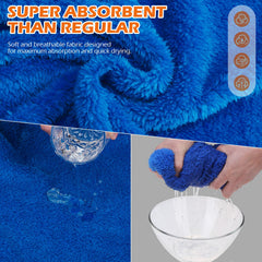 EXPAWLORER after-bath drying use demonstrates quick moisture removal