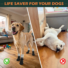 EXPAWLORER agarre-doble-patitas-caninas mejor estabilidad durante paseos