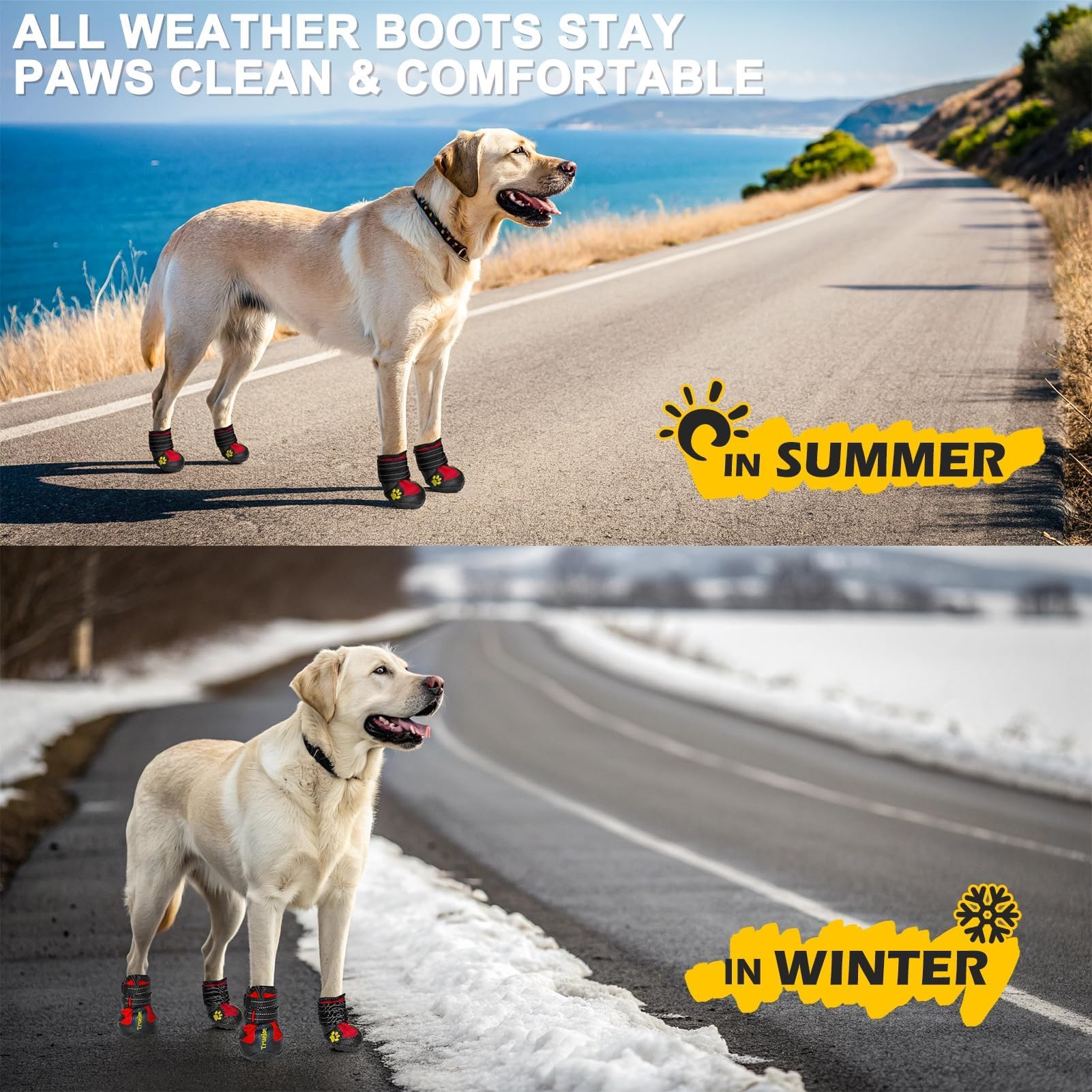 EXPAWLORER anti-slip dog shoes worn at night enhance visibility during walks.