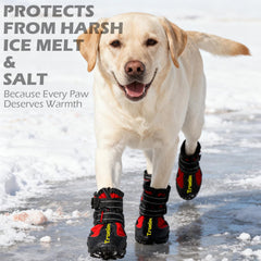 EXPAWLORER waterproof dog booties provide paw protection in rain and snow.