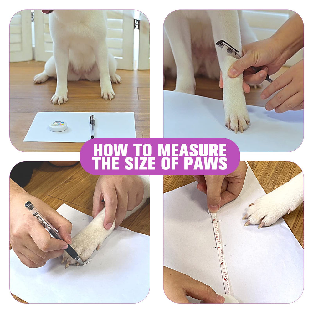 Expawlorer anti-slip design with double-sided paw grips supports steady steps.