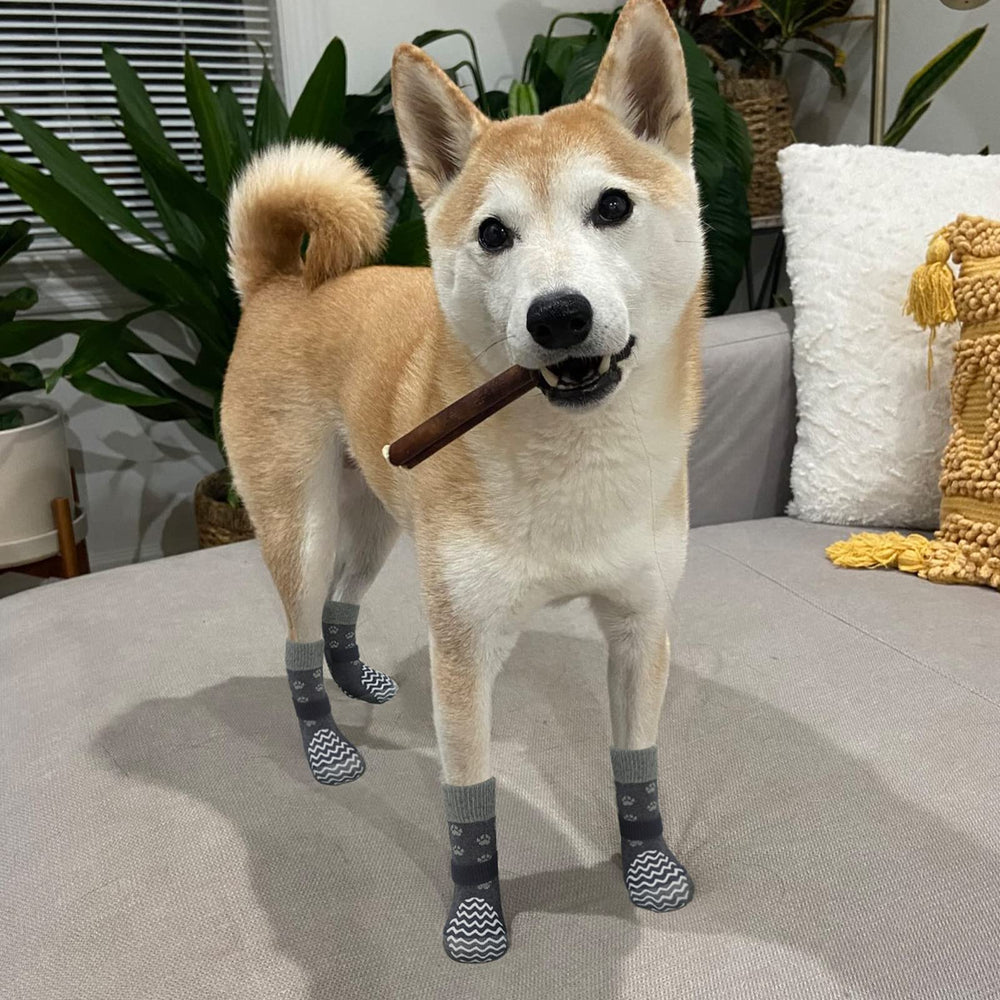 EXPAWLORER socks feature adjustable elastic straps to prevent slipping off