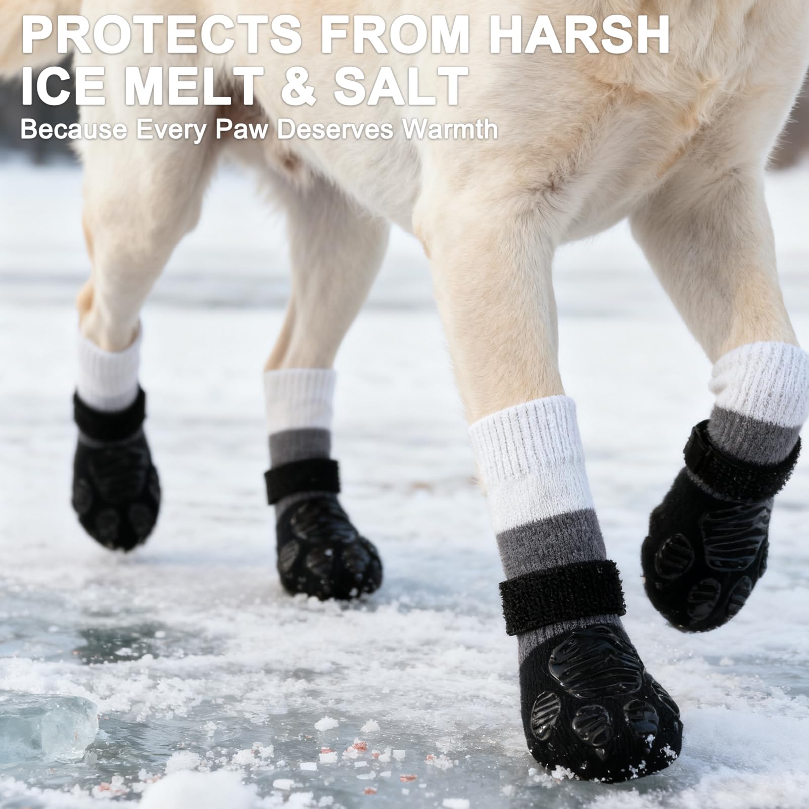 EXPAWLORER anti-slip socks feature two-row adhesive for extra paw hold.