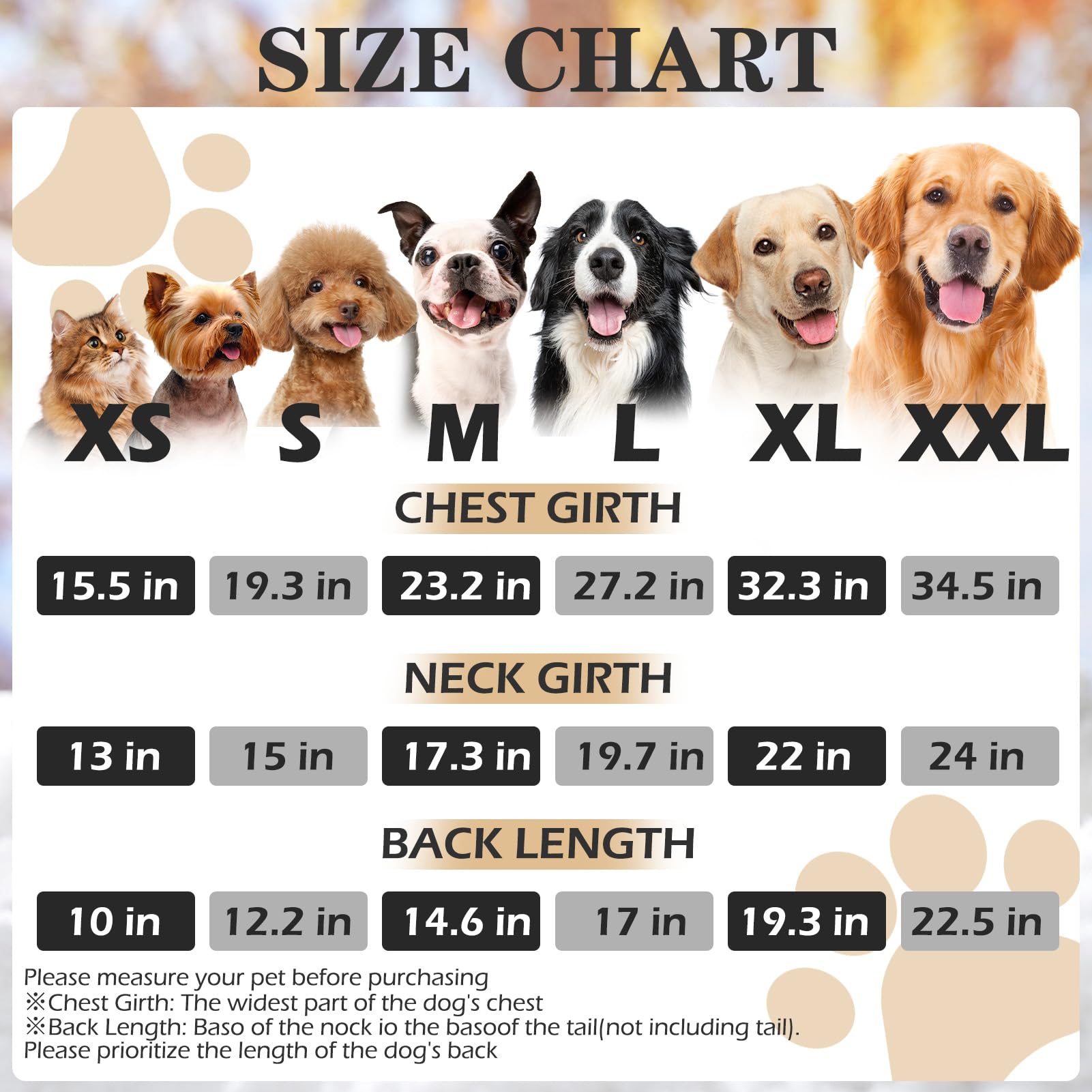 EXPAWLORER back leash hole detail enables easy leash attachment during walks.