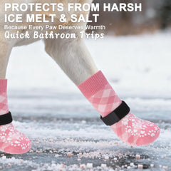 EXPAWLORER breathable fabric keeps paws comfy while preventing excessive licking and irritation.