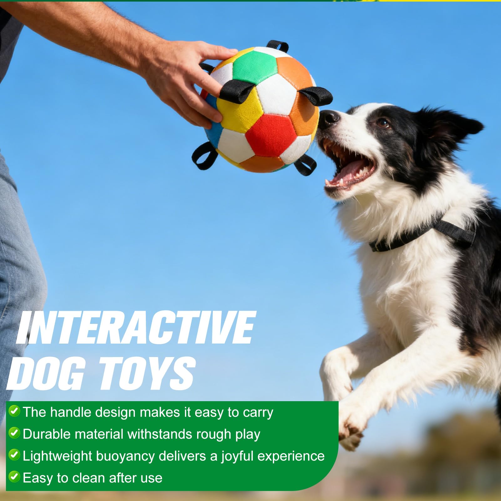 EXPAWLORER bright waterproof ball ideal for pool, lake, or beach play.