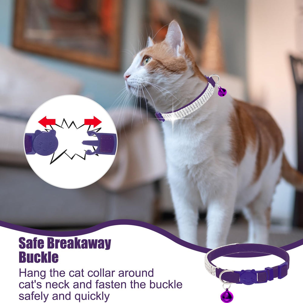 EXPAWLORER cat collar with a small bell improves visibility