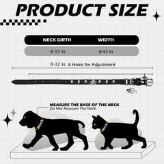 EXPAWLORER safety elastic belt on collar demonstrates breakaway protection for active indoor-outdoor wear.