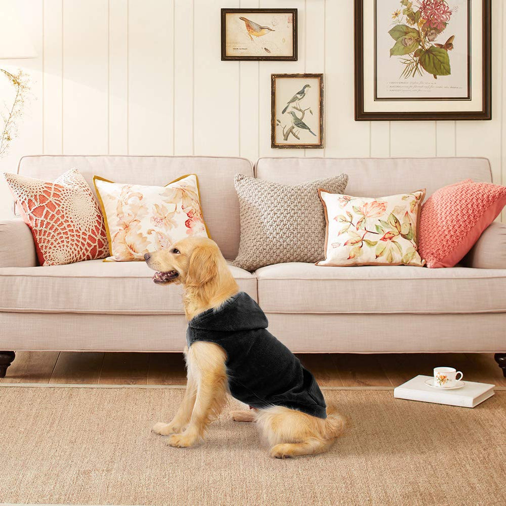 EXPAWLORER cat and dog multi-size fit for small to large pets.