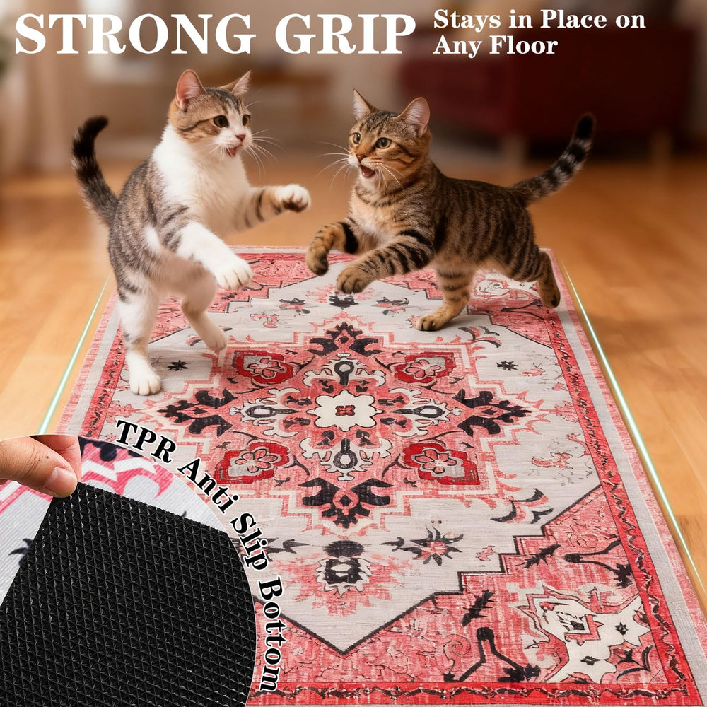 EXPAWLORER cat litter mat easy-clean quick-dry design for busy owners.
