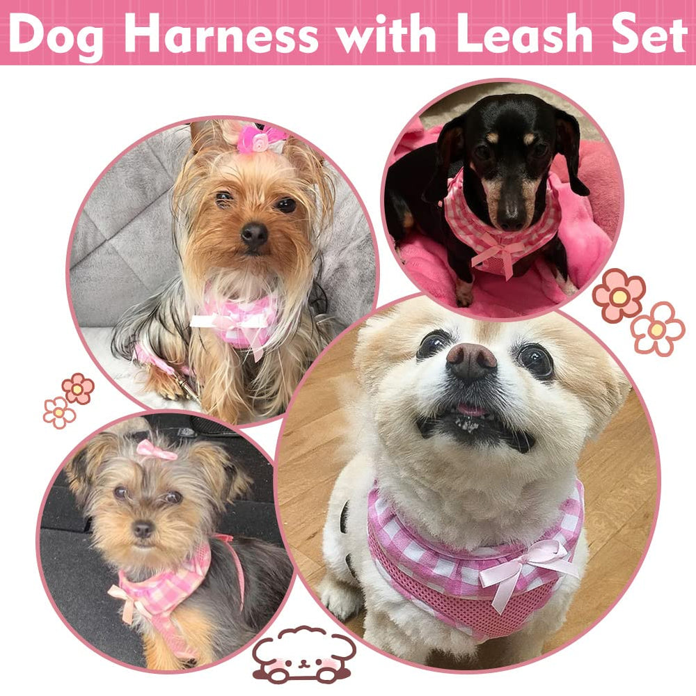EXPAWLORER checkered neck detail with ribbon adds playful fashion for girl dogs
